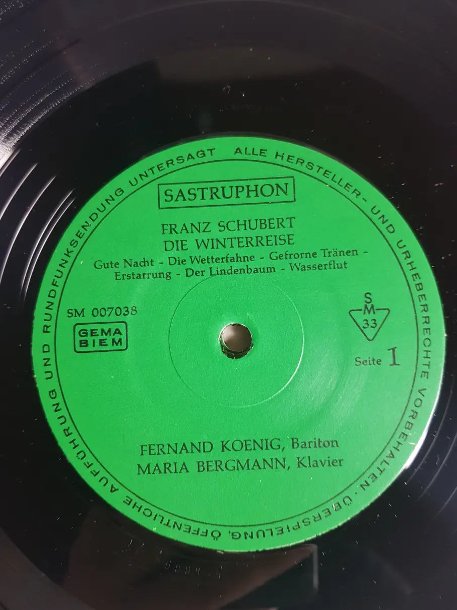Franz Schubert - Fernand Koenig, Maria Bergmann – Die Winterreise
