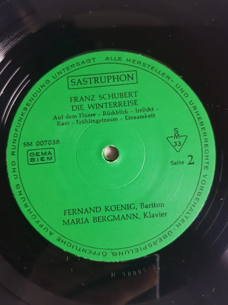 Franz Schubert - Fernand Koenig, Maria Bergmann – Die Winterreise