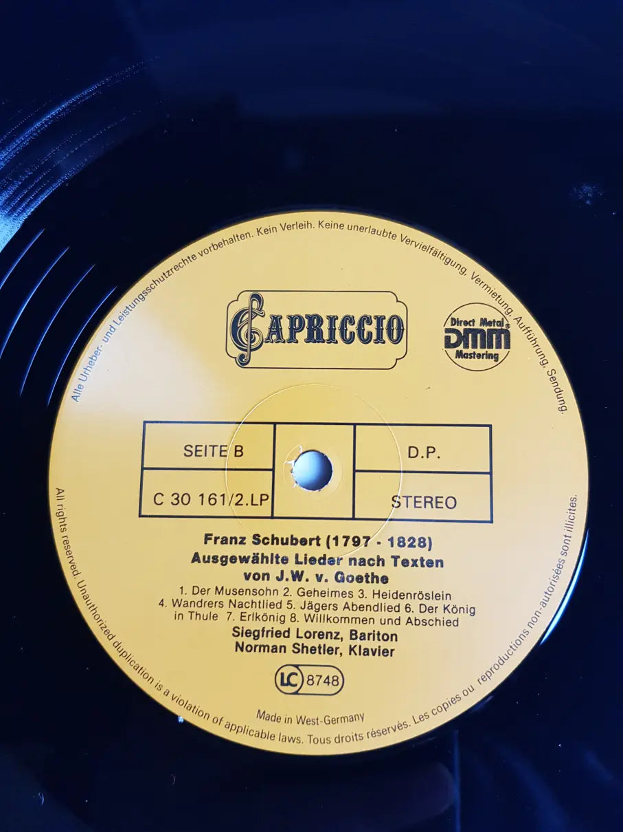 Franz Schubert – Winterreise & 8 Lieder