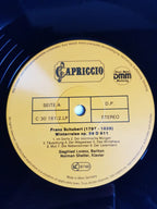 Franz Schubert – Winterreise & 8 Lieder