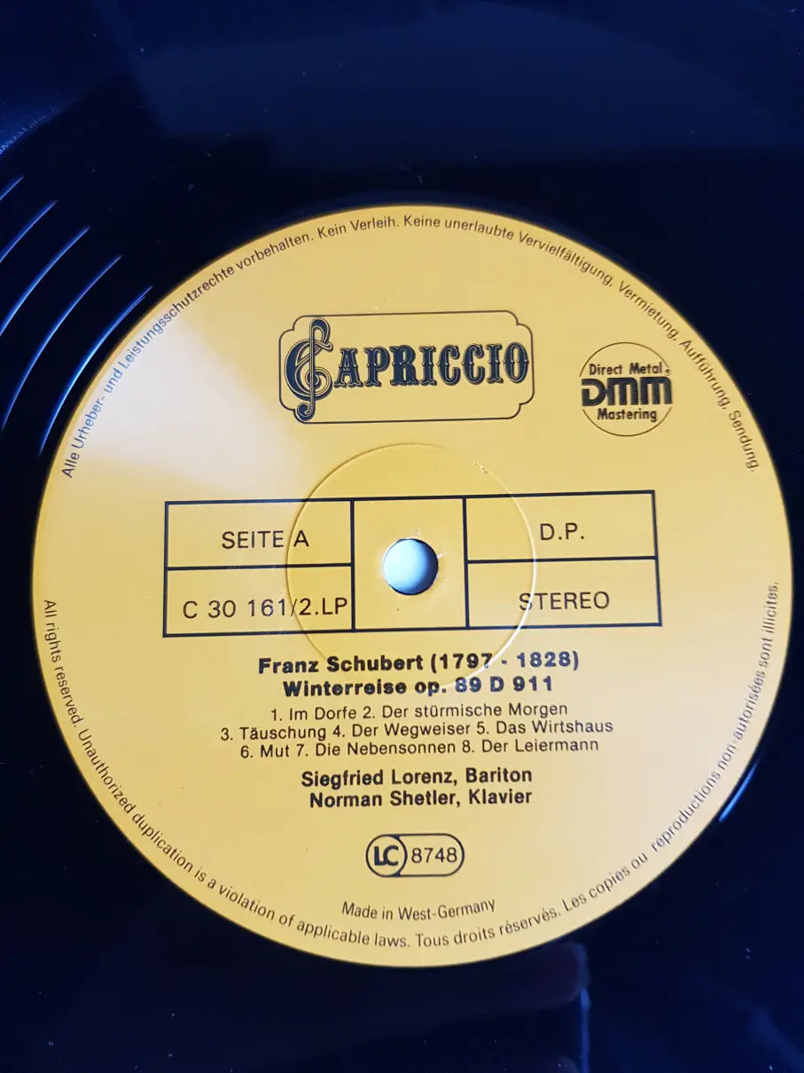 Franz Schubert – Winterreise & 8 Lieder