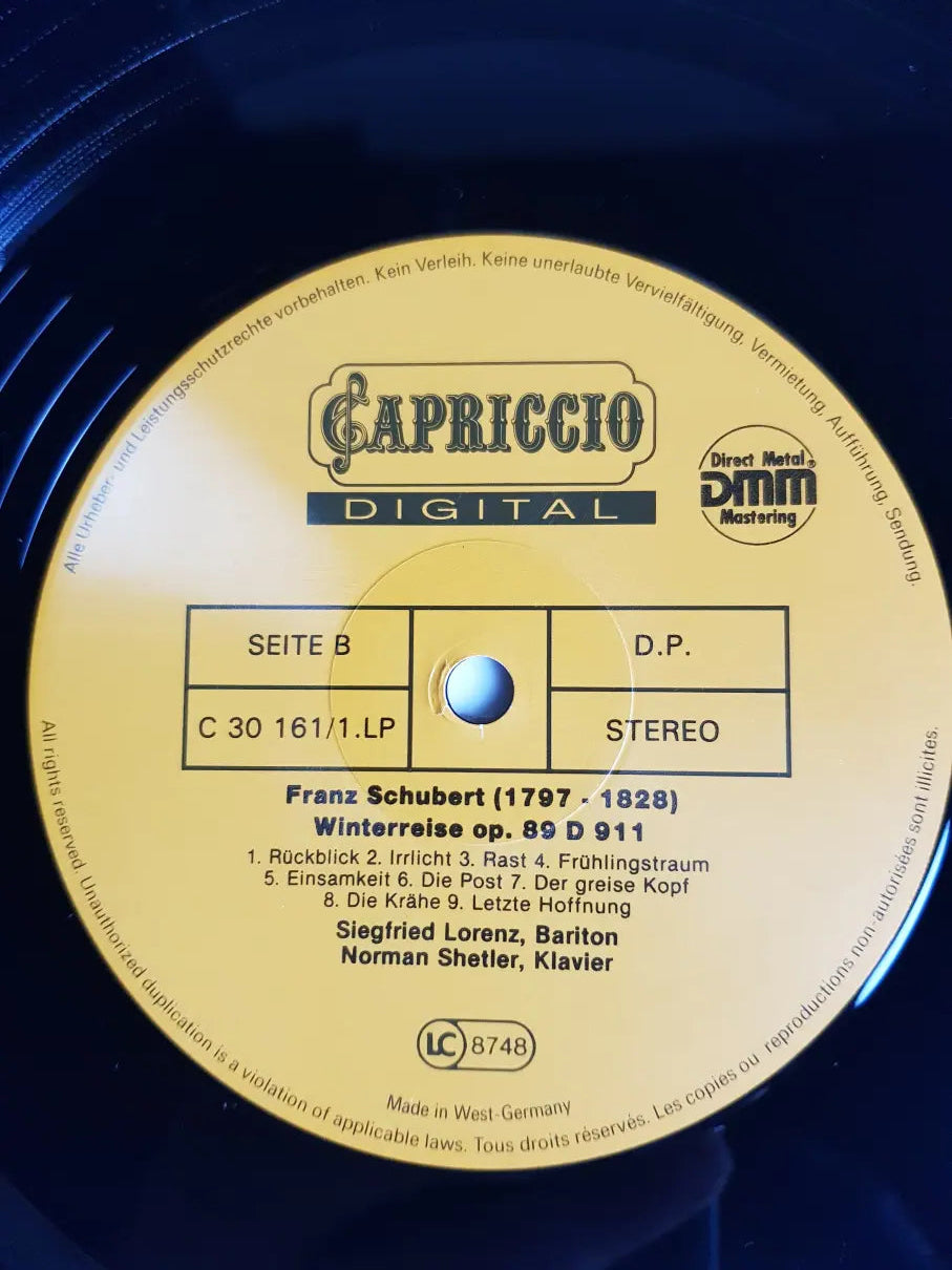 Franz Schubert – Winterreise & 8 Lieder