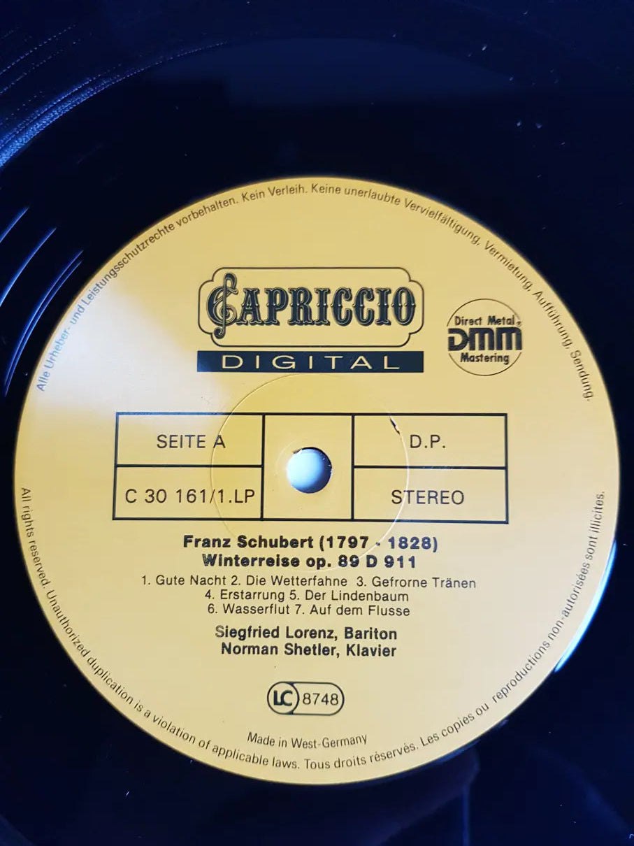 Franz Schubert – Winterreise & 8 Lieder
