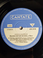 Dietrich Buxtehude - Westfälische Kantorei, Südwestdeutsches Kammerorchester, Wilhelm Ehmann – Choralkantaten