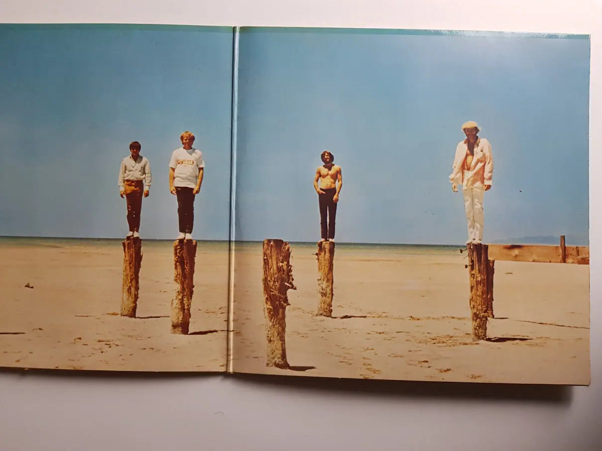 The Beach Boys – 20 Grössten Hits