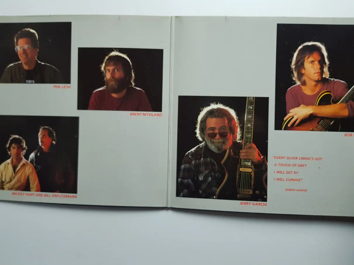 Grateful Dead – In The Dark