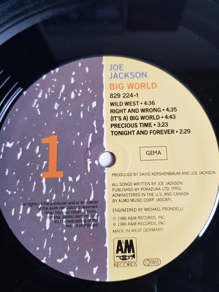 Joe Jackson – Big World