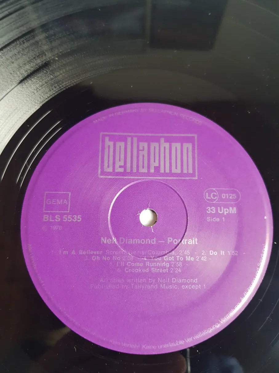 Neil Diamond – Portrait