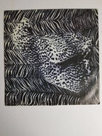 Extrabreit – Europa