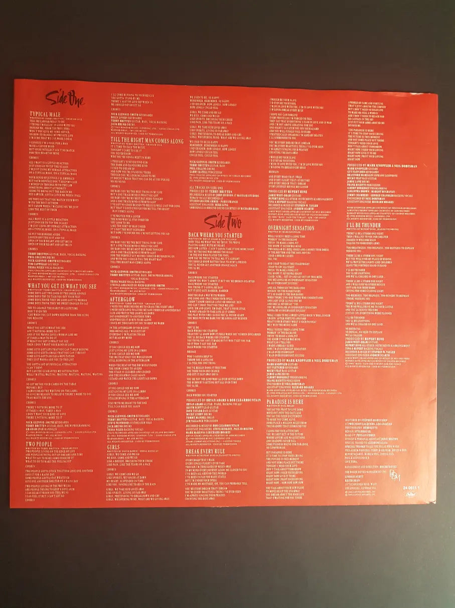 Tina Turner ‎– Break Every Rule