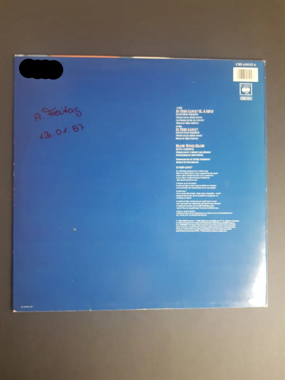 Alison Moyet – Is This Love?