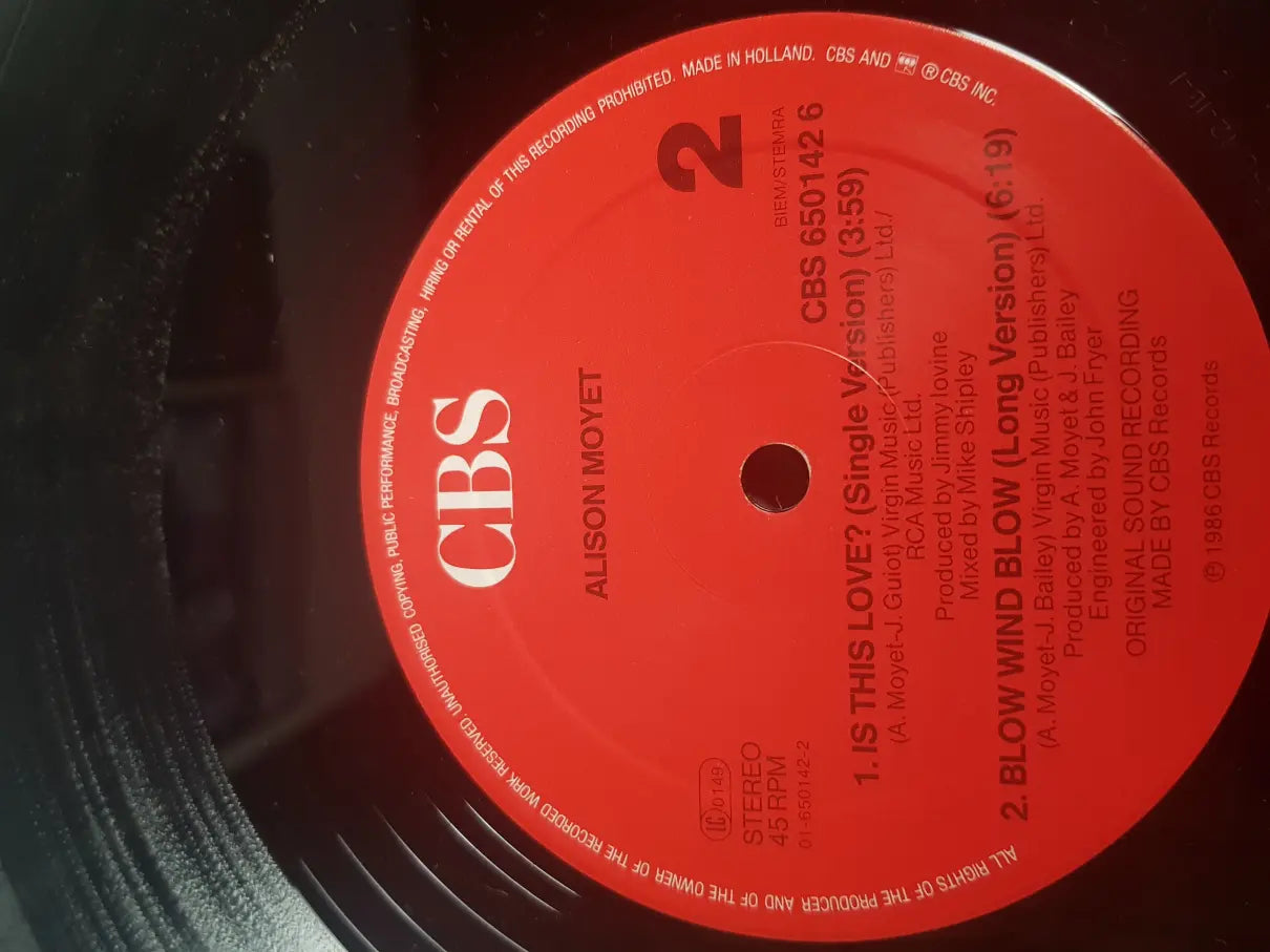 Alison Moyet – Is This Love?