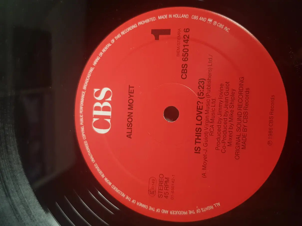 Alison Moyet – Is This Love?