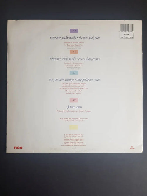 5 Star – Whenever You're Ready (The New York Mix)