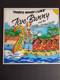 Jive Bunny And The Mastermixers – That's What I Like