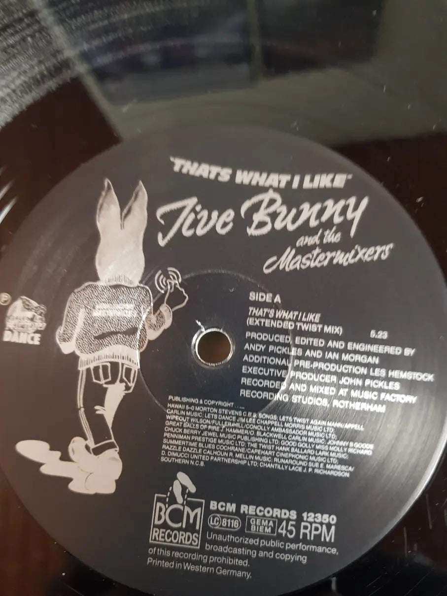 Jive Bunny And The Mastermixers – That's What I Like