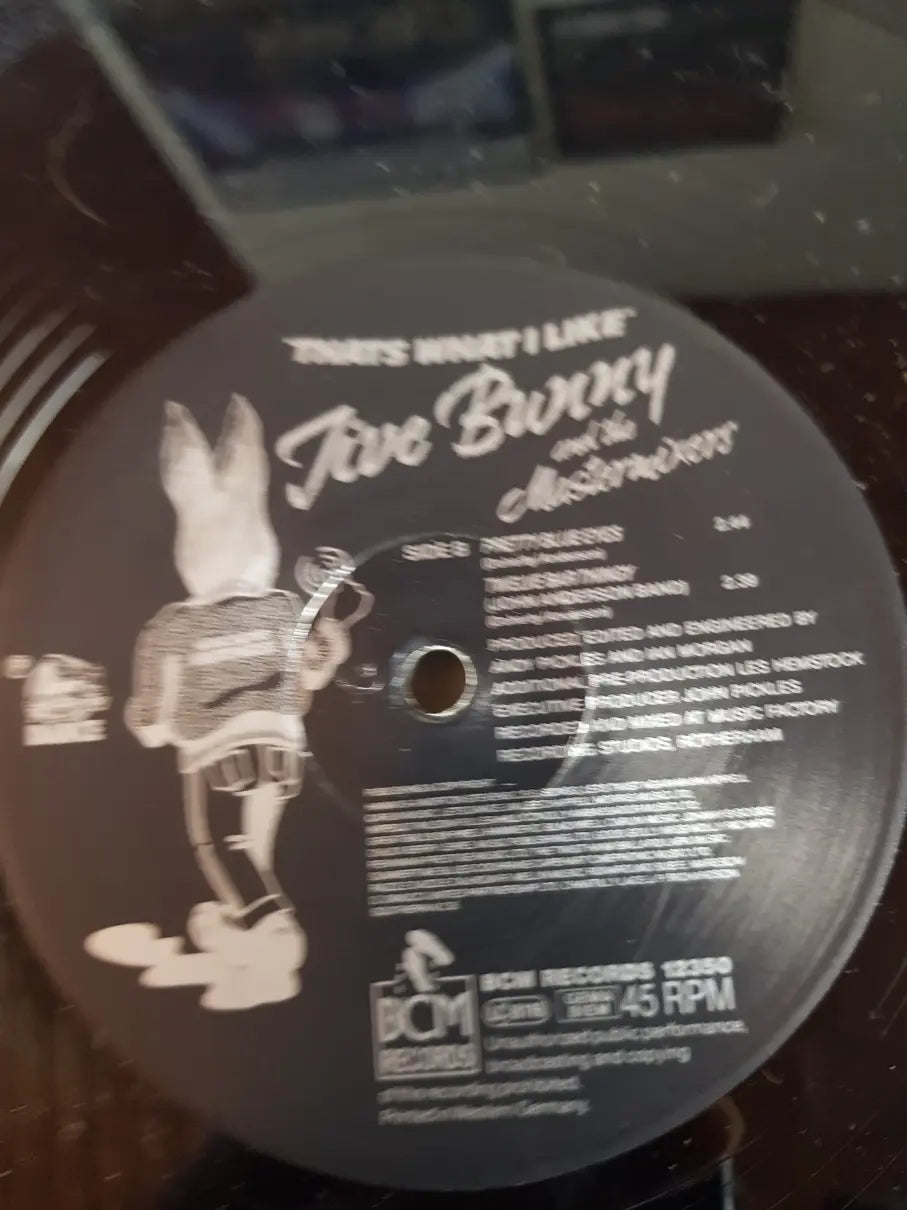 Jive Bunny And The Mastermixers – That's What I Like