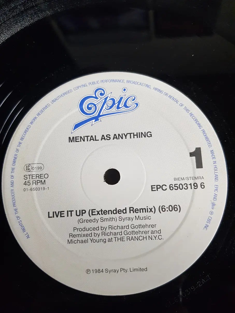 Mental As Anything – Live It Up