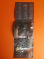 2raumwohnung – 36Grad