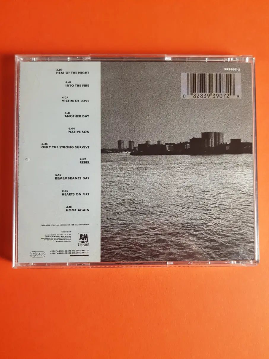 Bryan Adams – Into The Fire