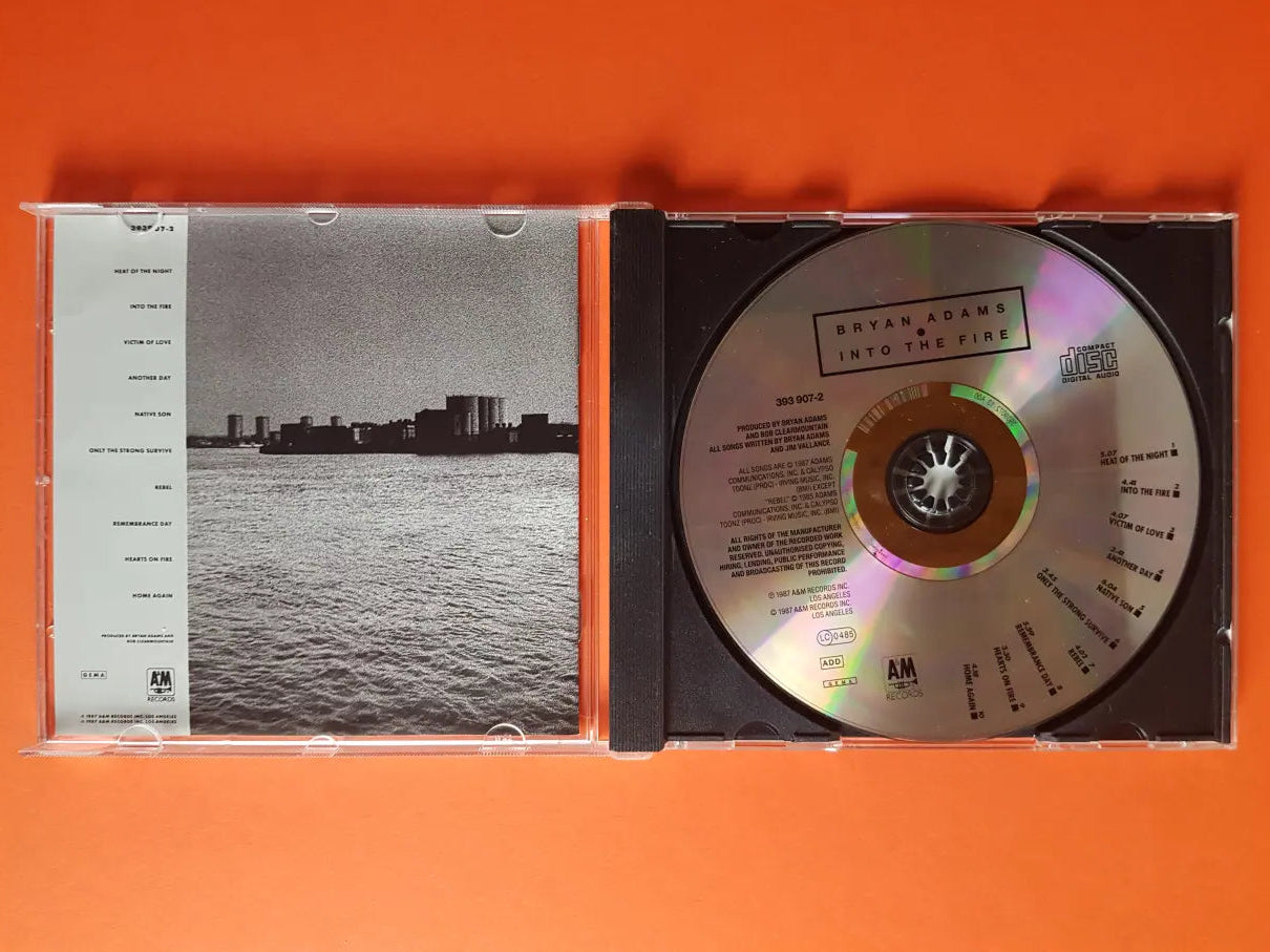 Bryan Adams – Into The Fire