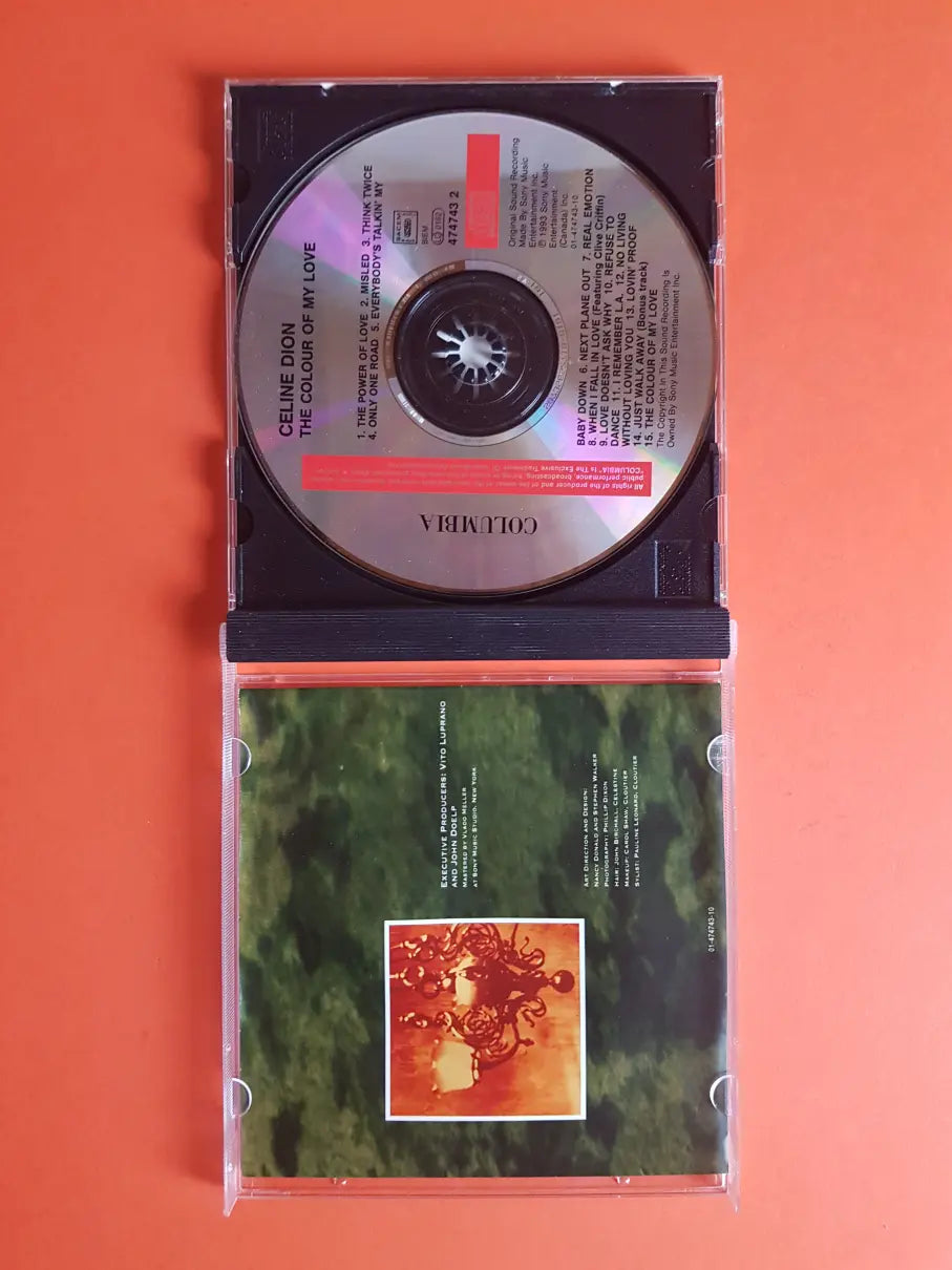 Celine Dion – The Colour Of My Love