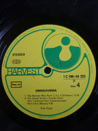 Pink Floyd – Ummagumma