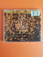 Dionne Farris – Wild Seed - Wild Flower