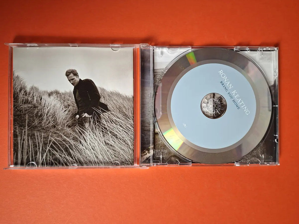 Ronan Keating – Bring You Home