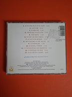 The Rembrandts – The Rembrandts