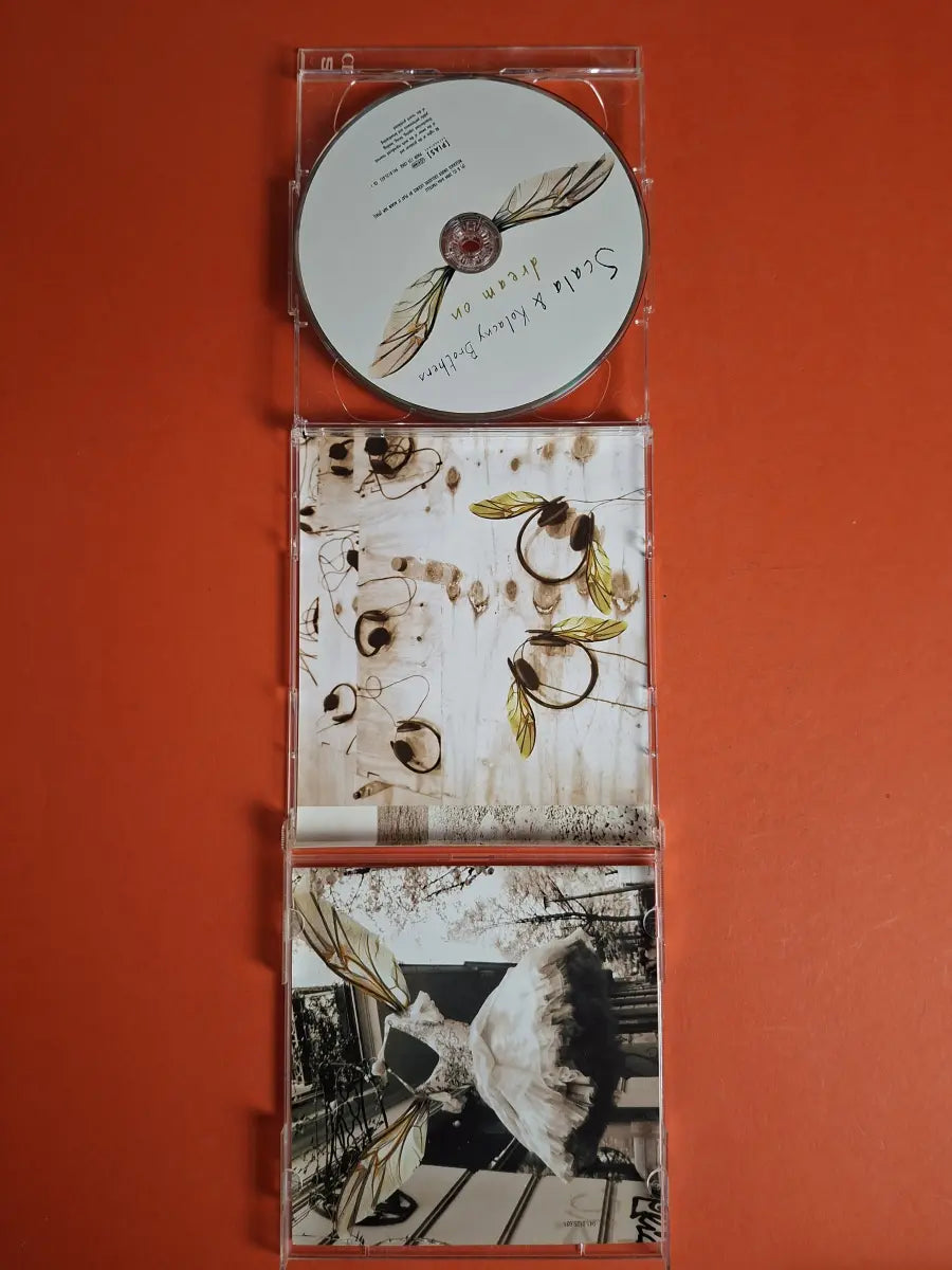 Scala & Kolacny Brothers – Dream On