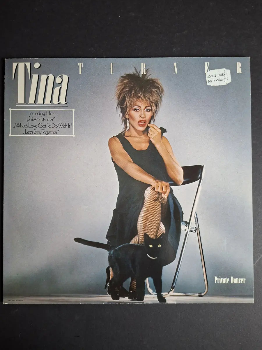 Tina Turner – Private Dancer