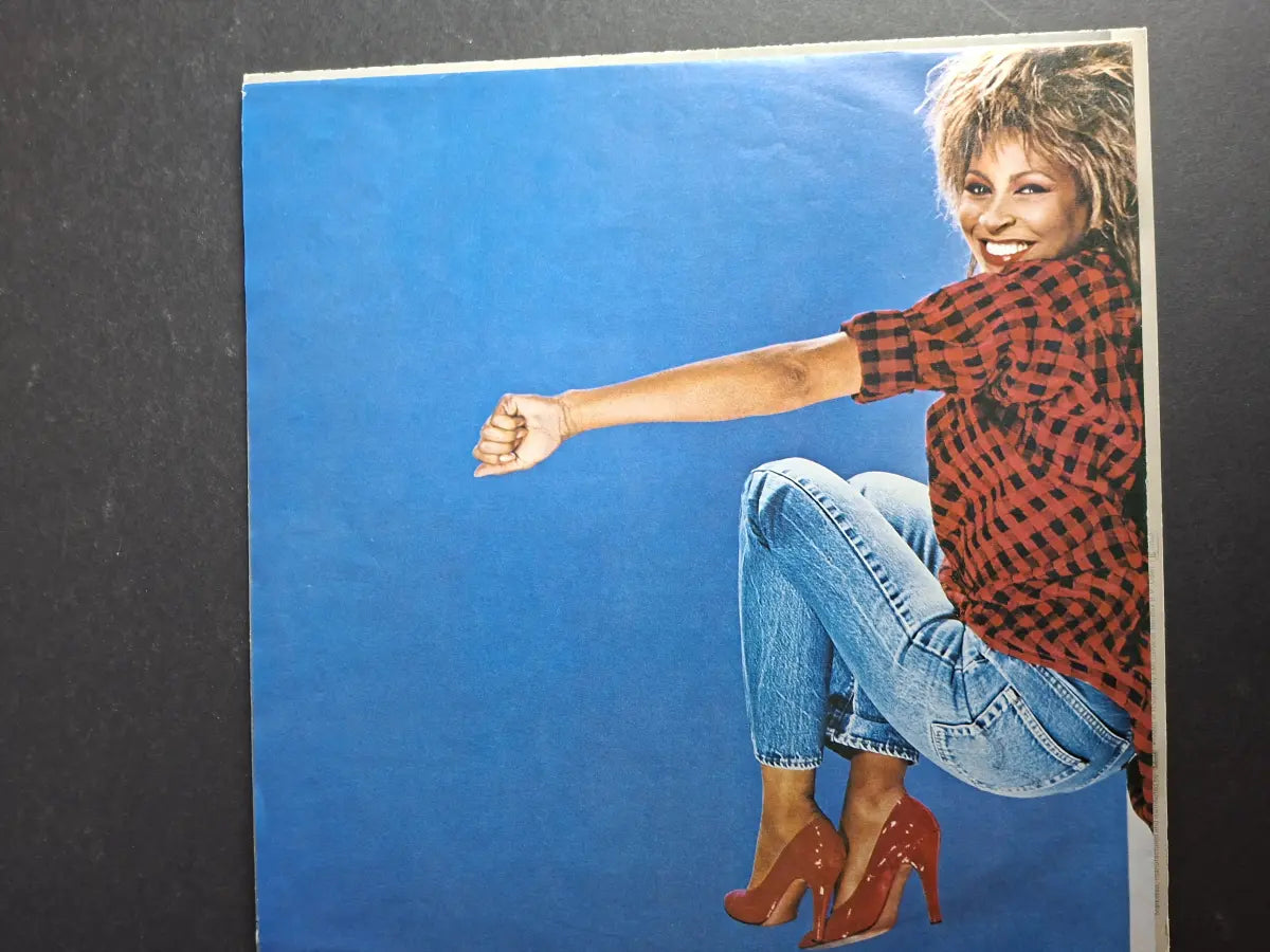 Tina Turner – Private Dancer