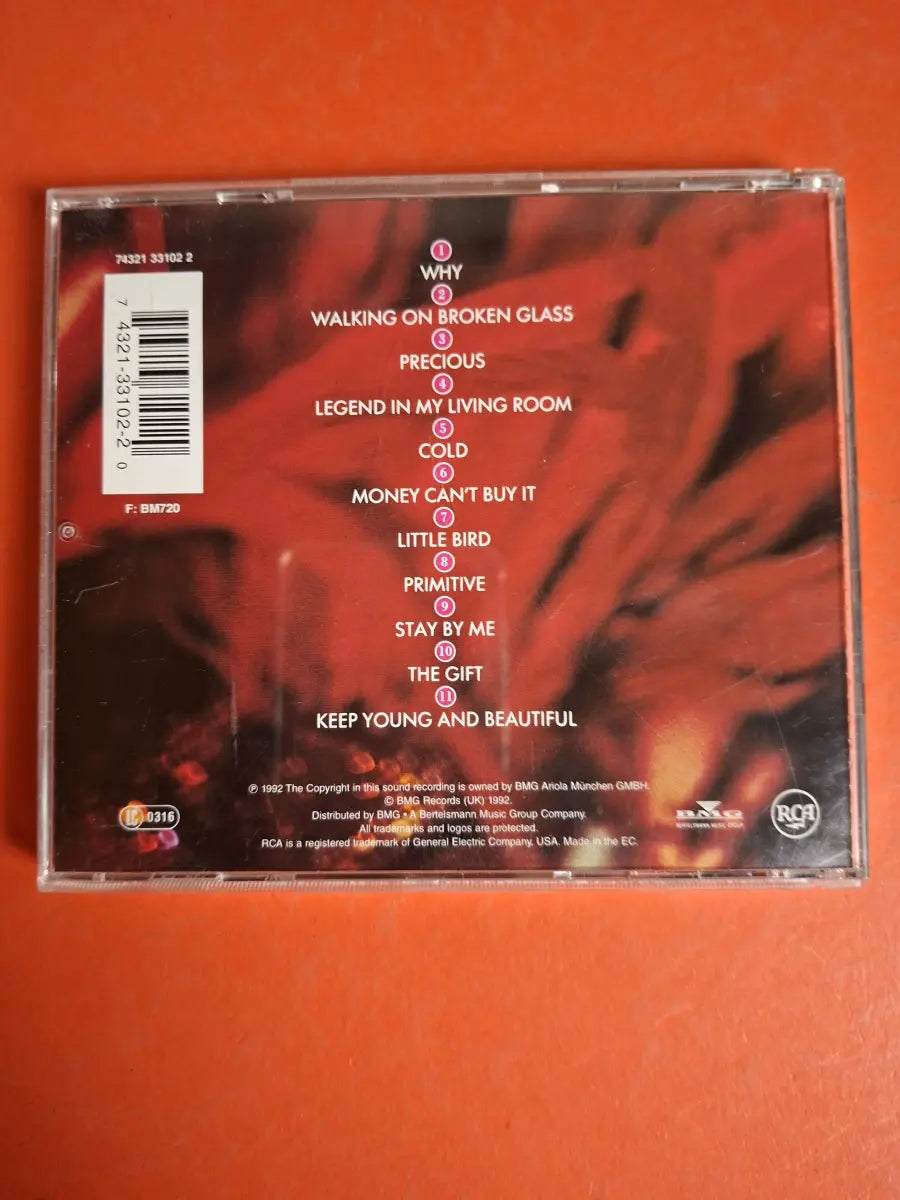 Annie Lennox – Diva