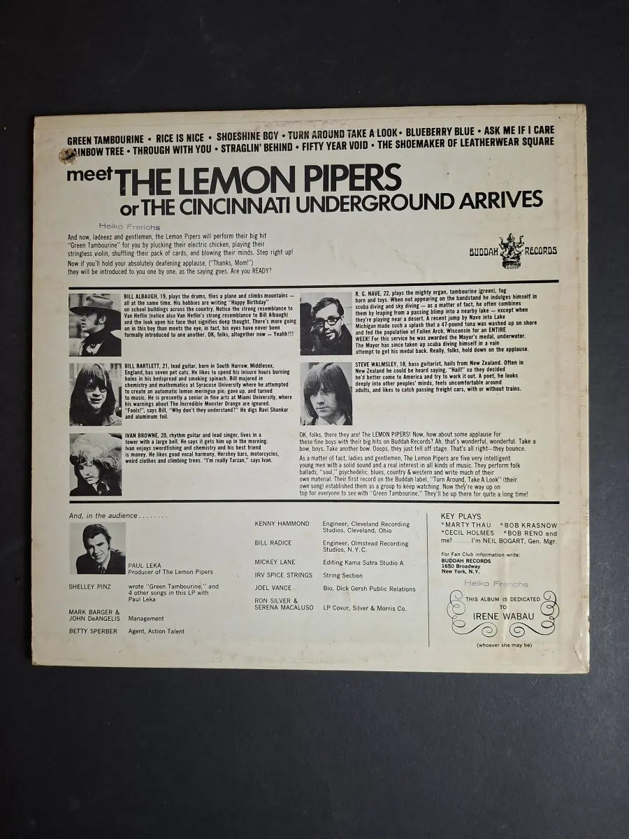 The Lemon Pipers – Green Tambourine