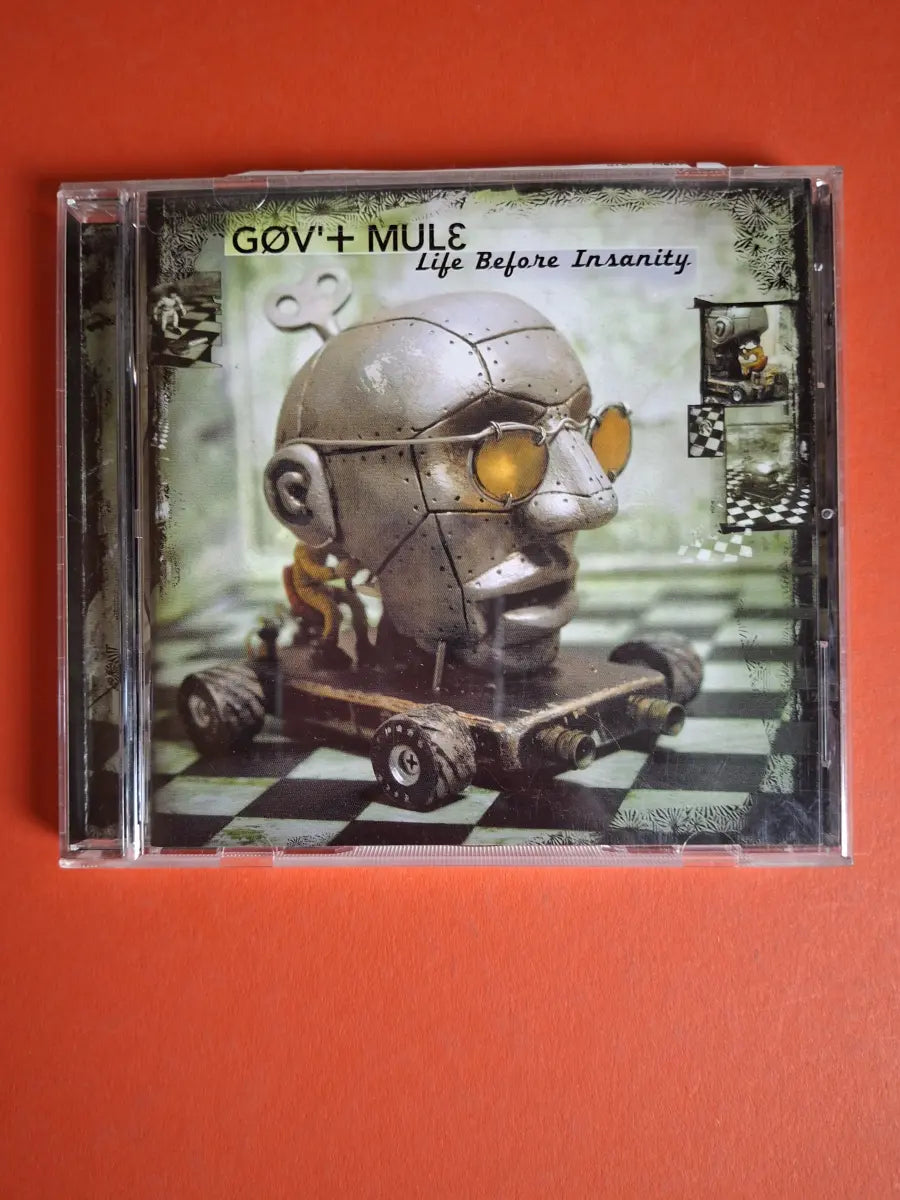 Gov't Mule – Life Before Insanity