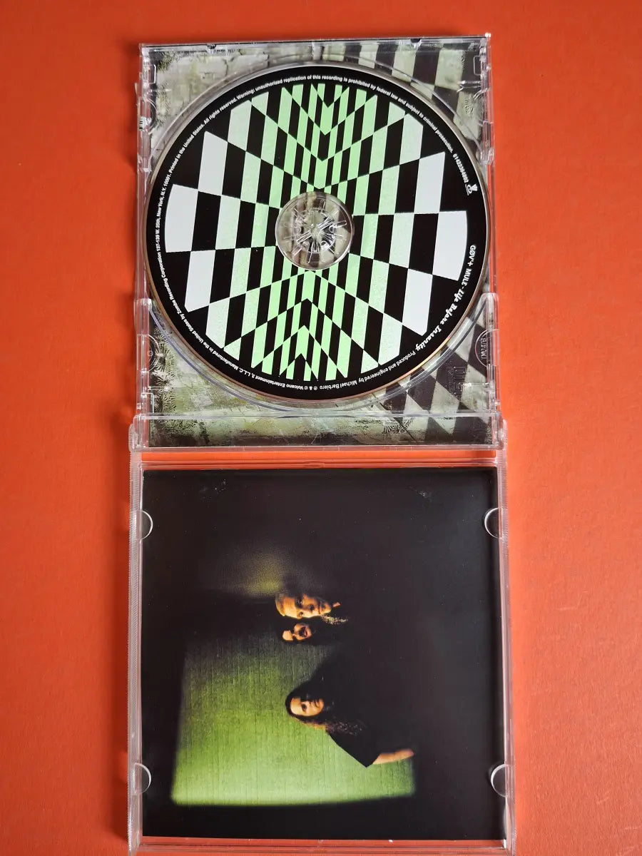 Gov't Mule – Life Before Insanity