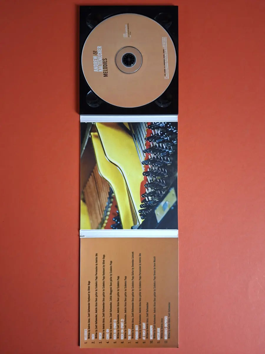 Andrew J & Kaltenecker – Melodies
