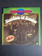 Blackbirds Of Paradise – Happy Jazz