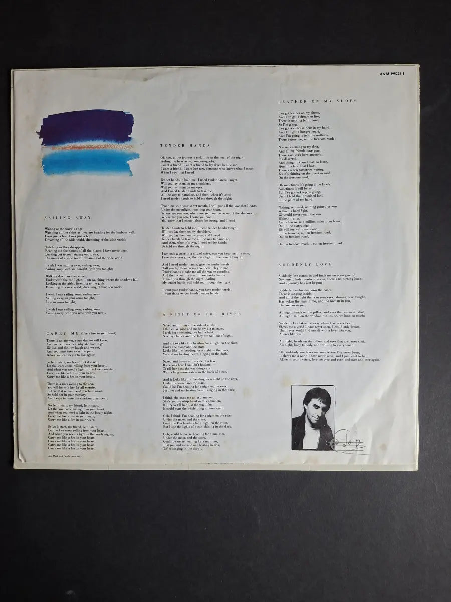Chris de Burgh – Flying Colours