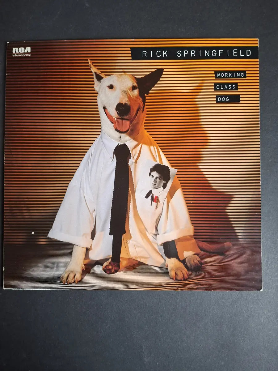 Rick Springfield – Working Class Dog