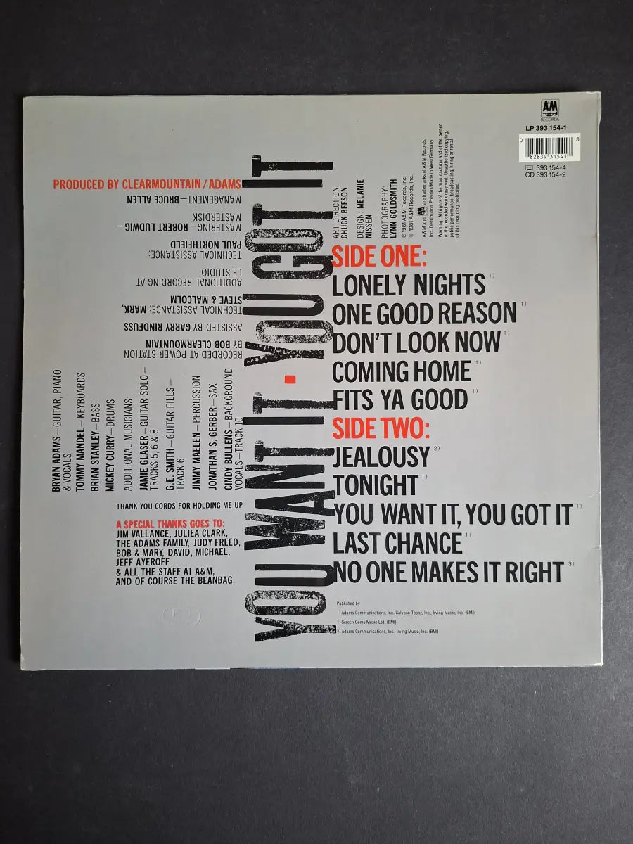 Bryan Adams – You Want It, You Got It