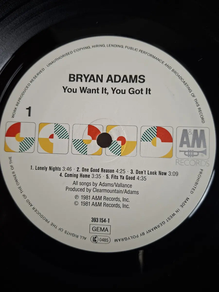 Bryan Adams – You Want It, You Got It