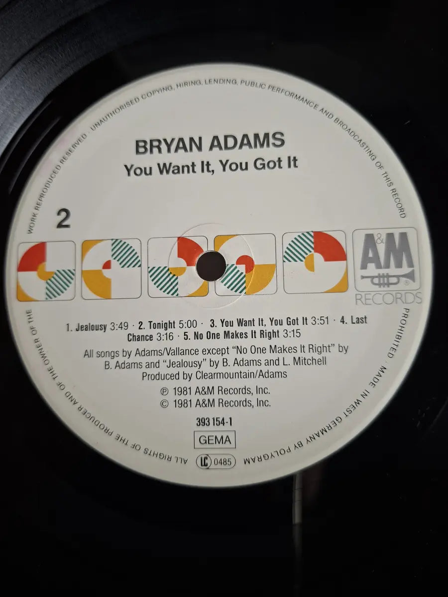 Bryan Adams – You Want It, You Got It