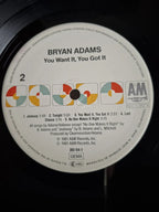 Bryan Adams – You Want It, You Got It