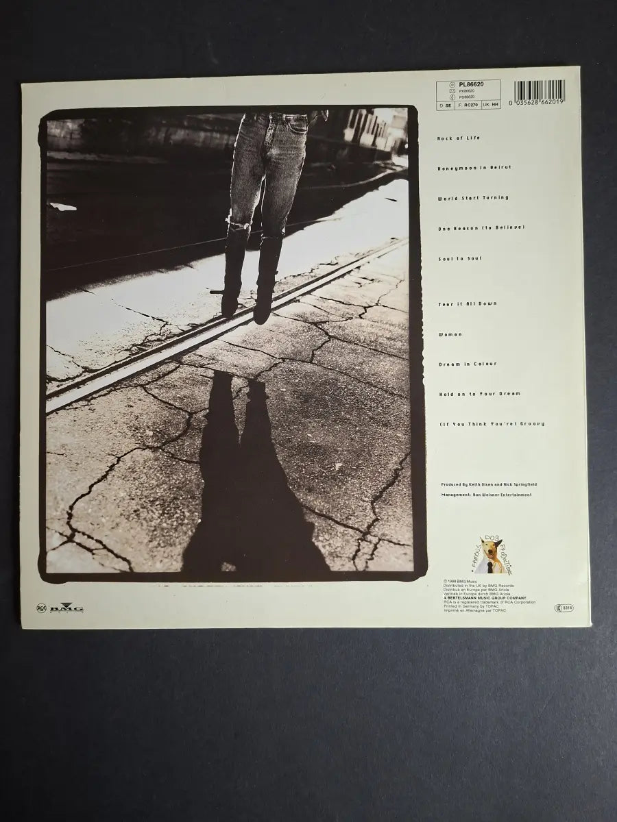 Rick Springfield – Rock Of Life