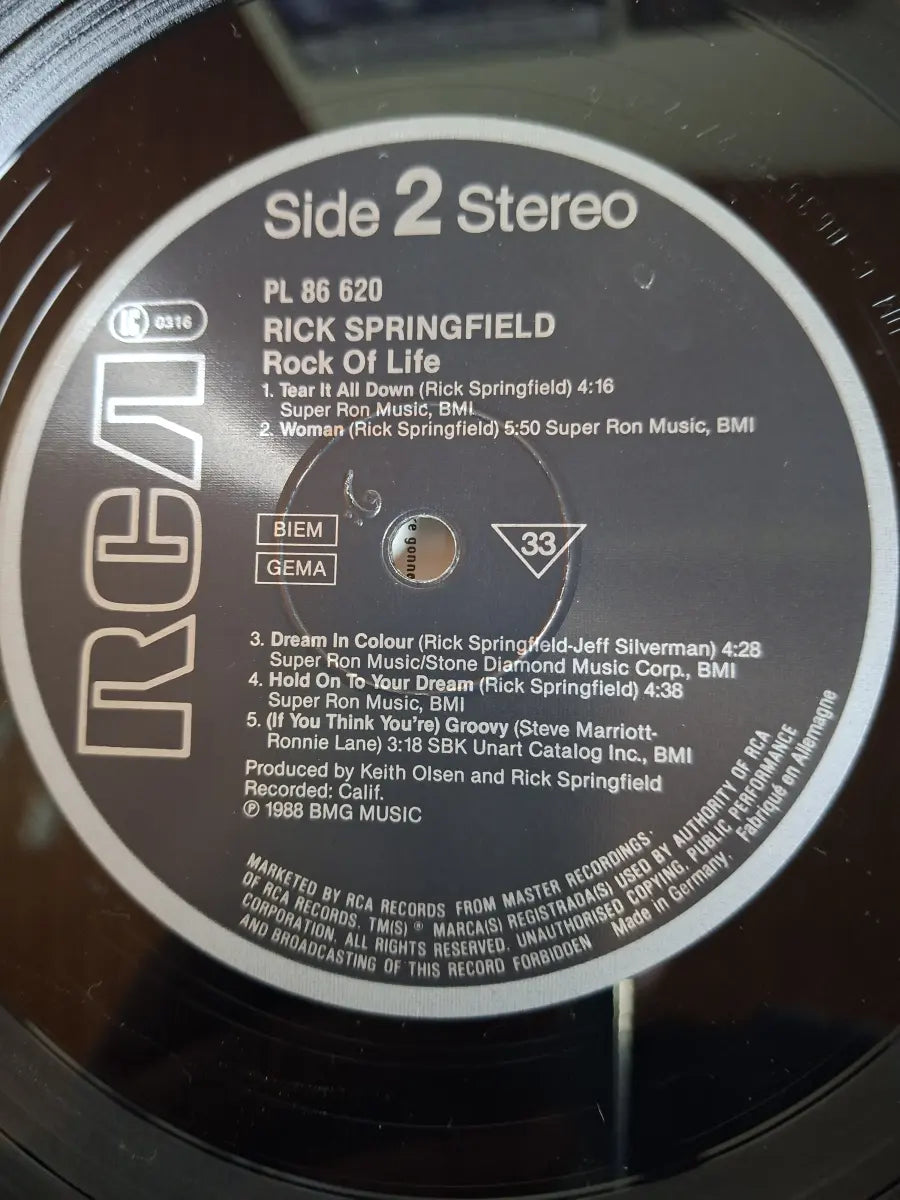 Rick Springfield – Rock Of Life