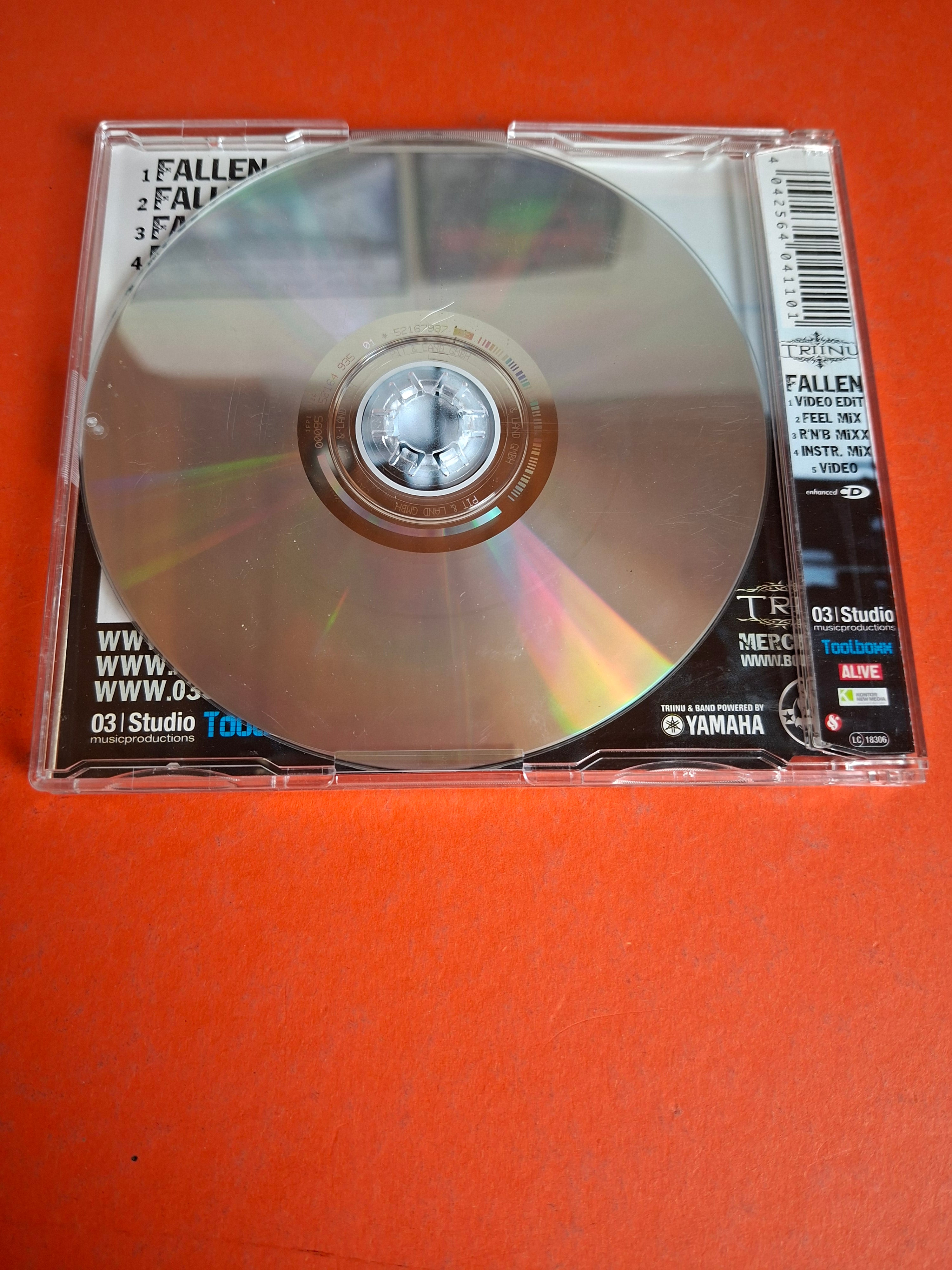 Triinu Kivilaan – Fallen