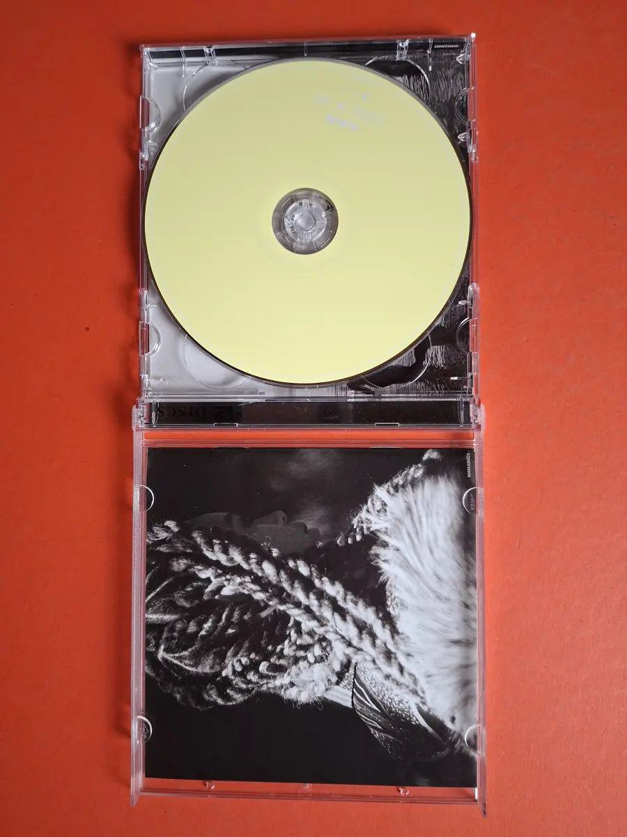 Beyoncé – Lemonade