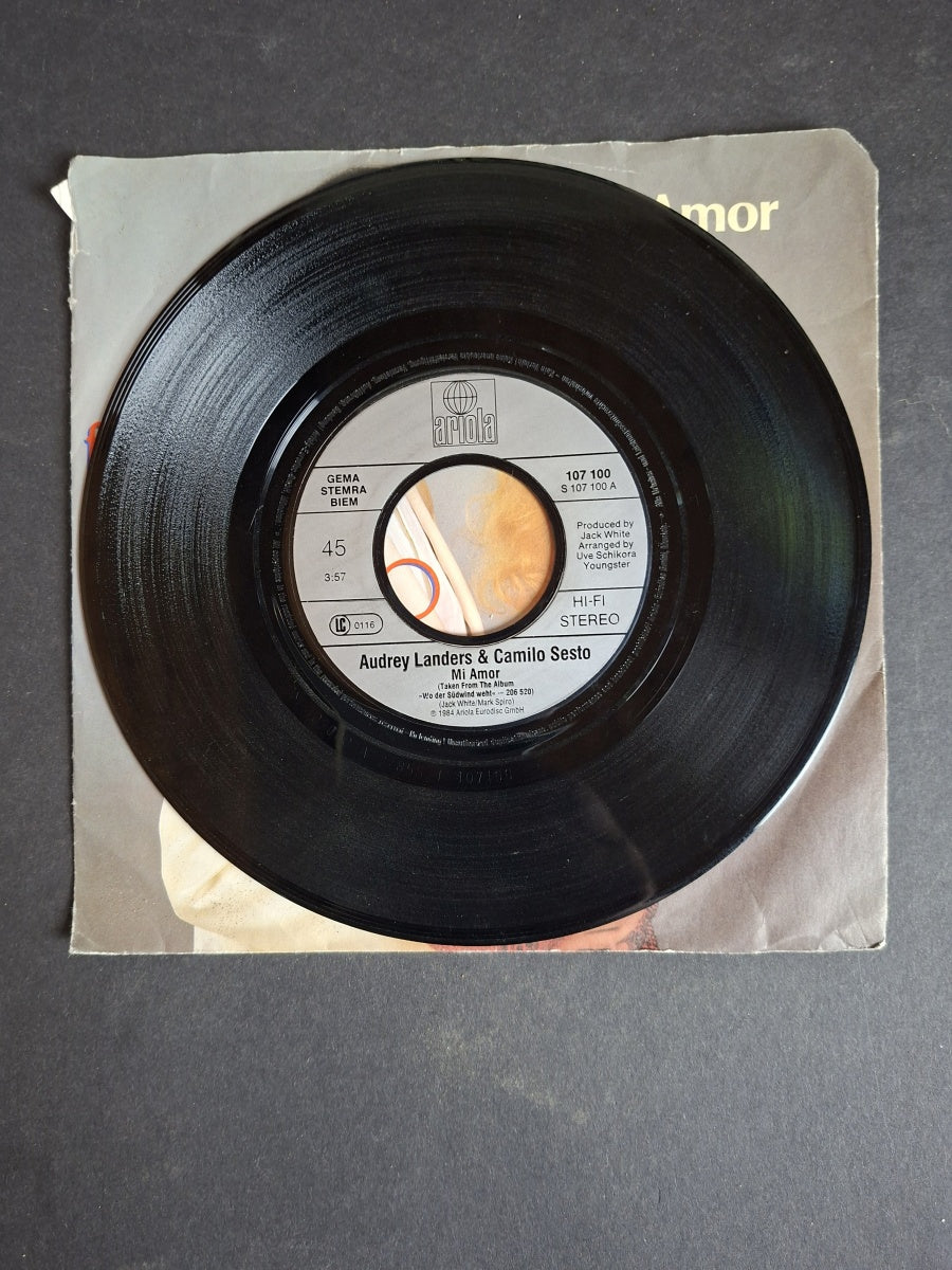Audrey Landers & Camilo Sesto – Mi Amor